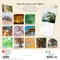 BrownTrout; The Majesty of Trees | 2027 12 x 24 Inch (Hanging) Monthly Square Wall Calendar | Plastic-Free; Category:Wall Calendars; Image:3